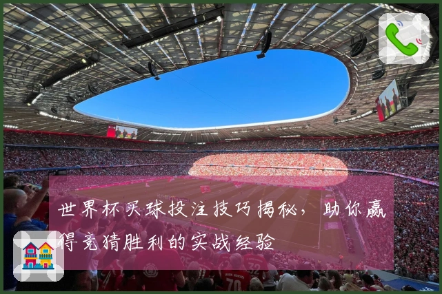 世界杯买球投注技巧揭秘，助你赢得竞猜胜利的实战经验