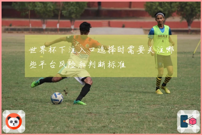 世界杯下注入口选择时需要关注哪些平台风险和判断标准
