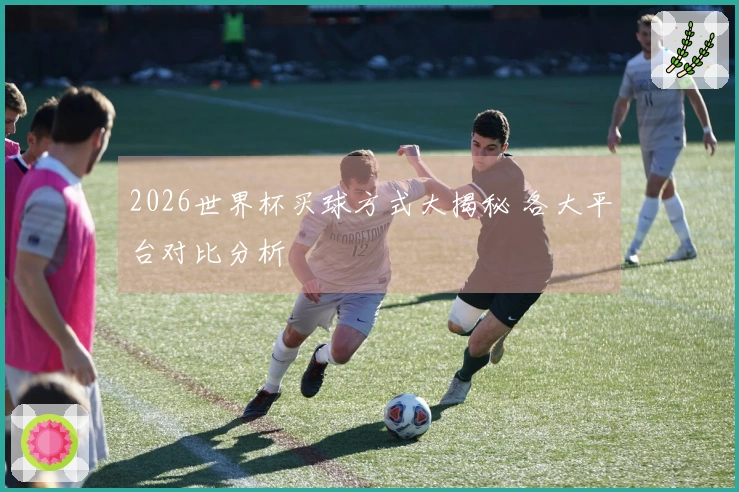 2026世界杯买球方式大揭秘 各大平台对比分析