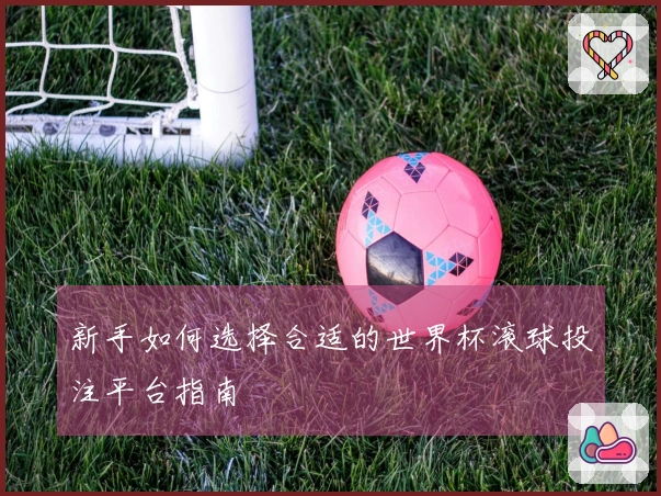 新手如何选择合适的世界杯滚球投注平台指南